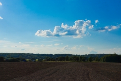 DSC08185