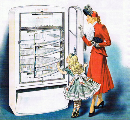 Ремонт холодильников в Лобне