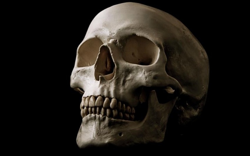 На Ленинградке нашли человеческий скелет