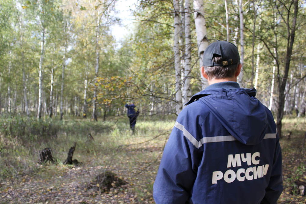 Две женщины с ребенком потерялись в лесу между Дмитровским и Рогачевским шоссе