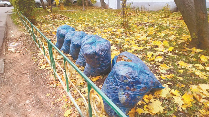 В Лобне мусору не позволят «уйти под снег»