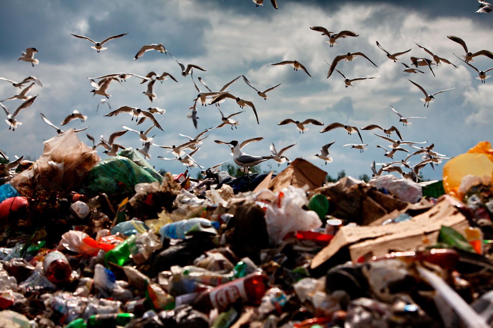 Объем лобненского мусора вырастет к 2035 году в 2,5 раза