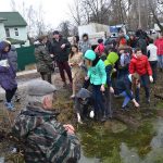 В Лобне для очистки озера привлекли белого амура