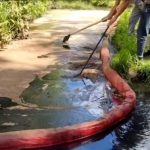 Ущерб от загрязнения реки в Лобне оценили в 42,2 млн рублей