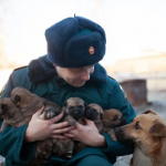 Пожарные в Лобне спасли из огня собаку с щенками